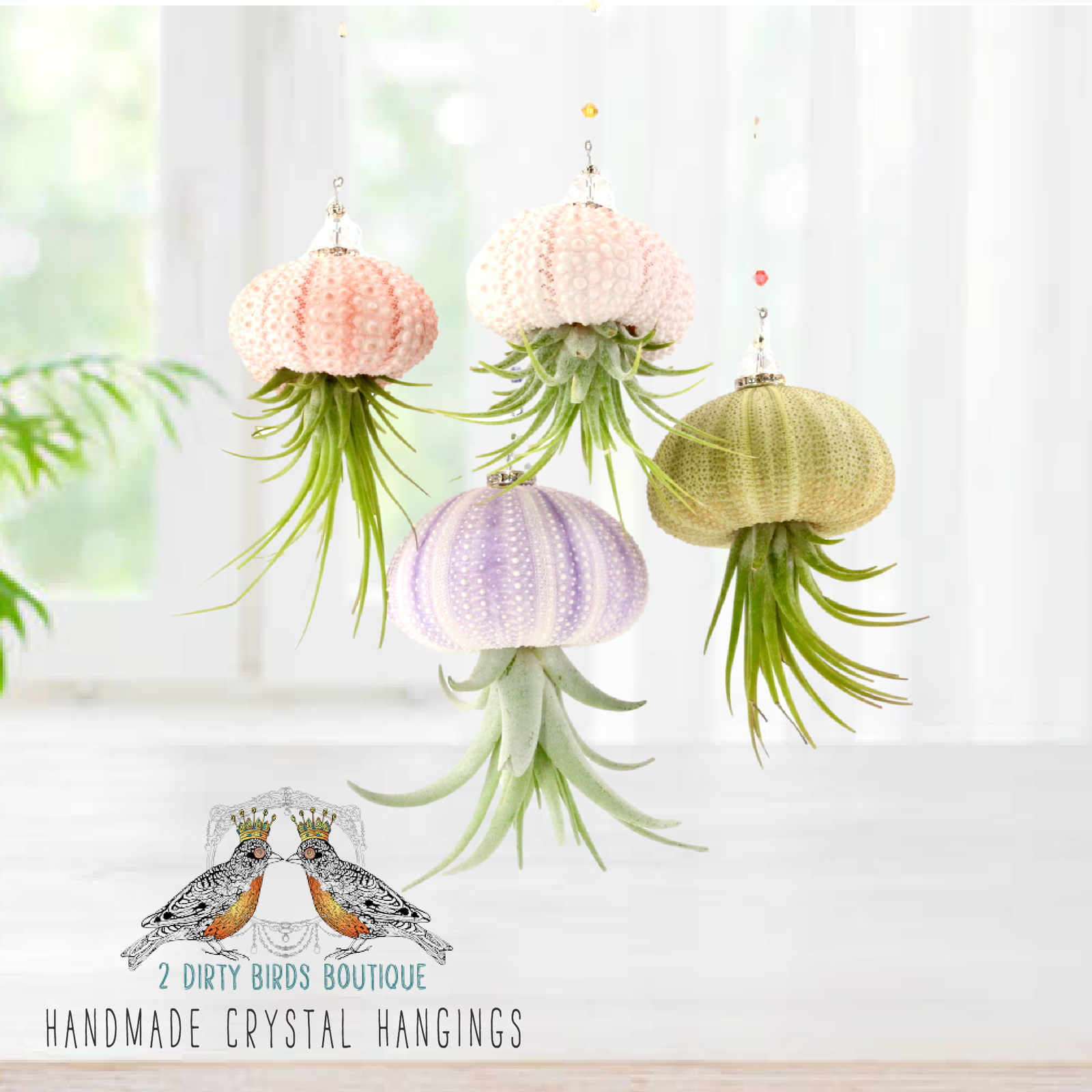 2 Dirty Birds Handmade Jellyfish Air Plant Hangings