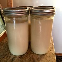 Finished Rendered Tallow by 2 Dirty Birds handcrafted skin tallow