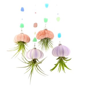 Jellyfish Air Plant, Sea Urchin with Sea Glass, Crystal, Pearls, Live Air Plant Hanging, Handmade, Home, Gift, 4PK, 2 Dirty Birds Boutique