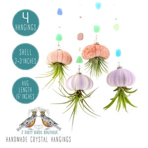Jellyfish Air Plant Display - Handcrafted Sea Urchin with Sea Glass & Pearls, Perfect Home Decor or Unique Gift, 4PK - 2Dirty Birds Boutique
