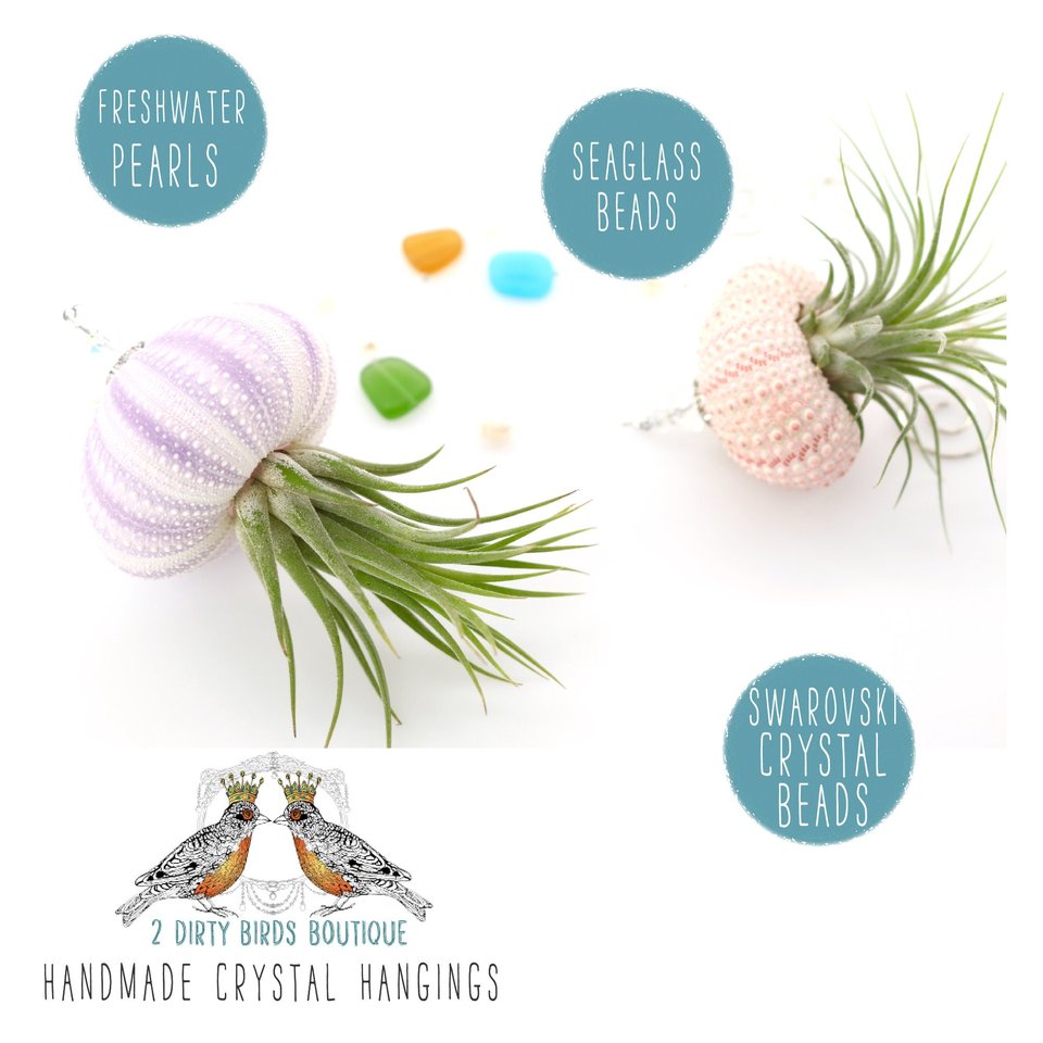 Nautical-Inspired Live Air Plant Sea Urchin Jellyfish - Handcrafted with Swarovski, Pearls & Sea Glass, Perfect Home Gift Set, 2 Pack