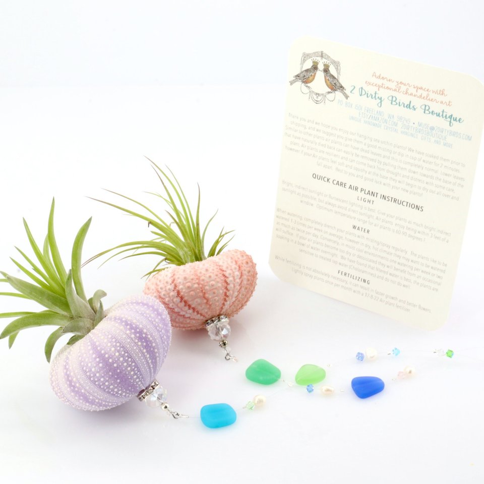 Sea Urchin Jellyfish with Sea Glass, Live Air Plant Hanging, Swarovski, Pearls, Garden, Home, 2 PK, Gift, 2 Dirty Birds Boutique