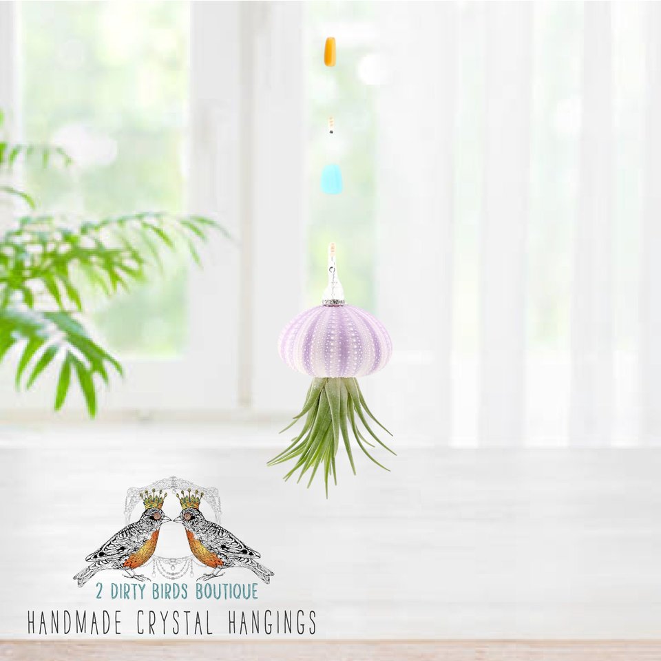 Cheerful Hanging Jellyfish, Beach Glass, Air Plant, Live Plant, Purple Urchin, Hanging Air Plant, Indoor Plant, Gift, 2 Dirty Birds Boutique