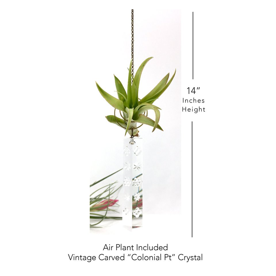 Vintage Crystal, Air Plant Hanger, Crystal Suncatcher, Air Plant Holder, Air Plant Display, Rainbow Maker, Gift, 2 Dirty Birds Boutique