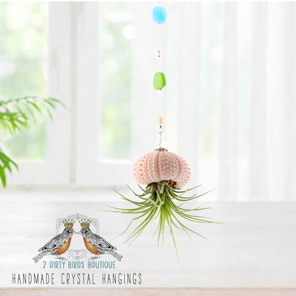 Hanging Beaded Air Plant, Beach Glass Jellyfish, Swarovski, Pearls, Sea Urchin, Hanging Air Plants, Live Plant, Gift, 2 Dirty Birds Boutique