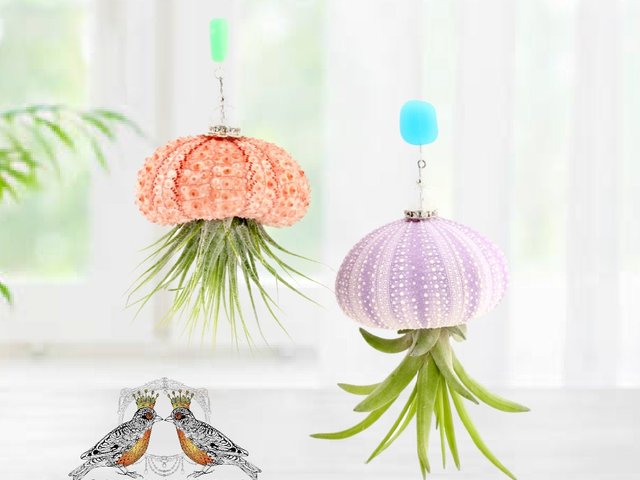 Sea Urchin Jellyfish with Sea Glass, Live Air Plant Hanging, Swarovski, Pearls, Garden, Home, 2 PK, Gift, 2 Dirty Birds Boutique