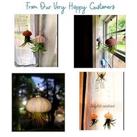 Nautical-Inspired Live Air Plant Sea Urchin Jellyfish - Handcrafted with Swarovski, Pearls & Sea Glass, Perfect Home Gift Set, 2 Pack