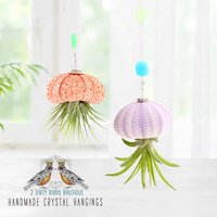 Nautical-Inspired Live Air Plant Sea Urchin Jellyfish - Handcrafted with Swarovski, Pearls & Sea Glass, Perfect Home Gift Set, 2 Pack