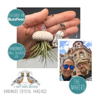 Nautical-Inspired Live Air Plant Sea Urchin Jellyfish - Handcrafted with Swarovski, Pearls & Sea Glass, Perfect Home Gift Set, 2 Pack