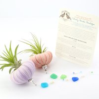 Nautical-Inspired Live Air Plant Sea Urchin Jellyfish - Handcrafted with Swarovski, Pearls & Sea Glass, Perfect Home Gift Set, 2 Pack