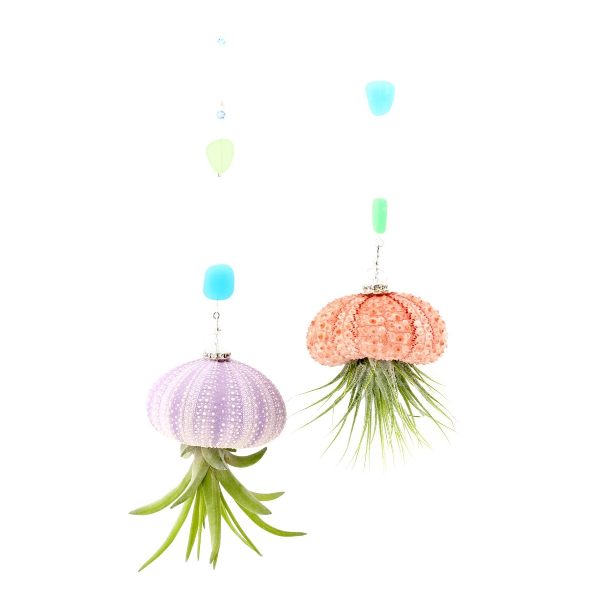 Nautical-Inspired Live Air Plant Sea Urchin Jellyfish - Handcrafted with Swarovski, Pearls & Sea Glass, Perfect Home Gift Set, 2 Pack