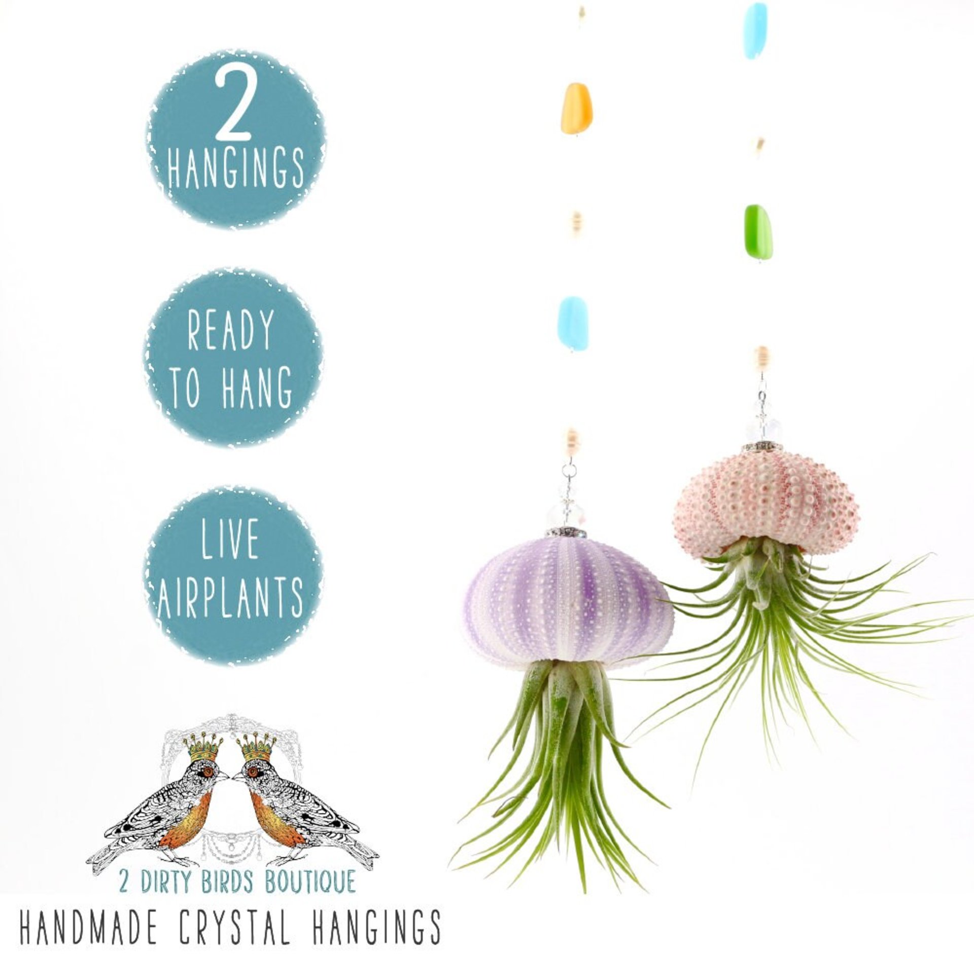Nautical-Inspired Live Air Plant Sea Urchin Jellyfish - Handcrafted with Swarovski, Pearls & Sea Glass, Perfect Home Gift Set, 2 Pack
