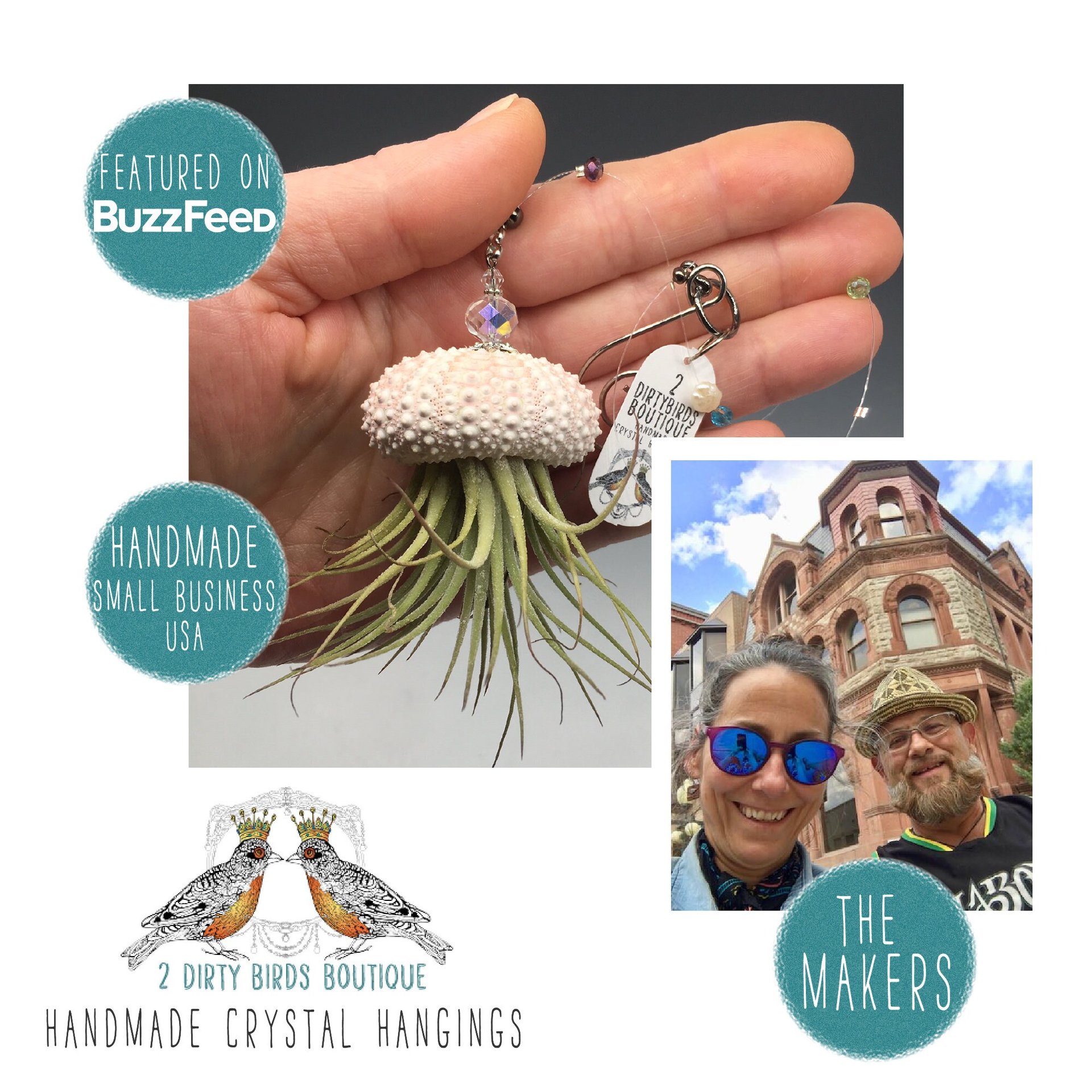 Nautical-Inspired Live Air Plant Sea Urchin Jellyfish - Handcrafted with Swarovski, Pearls & Sea Glass, Perfect Home Gift Set, 2 Pack